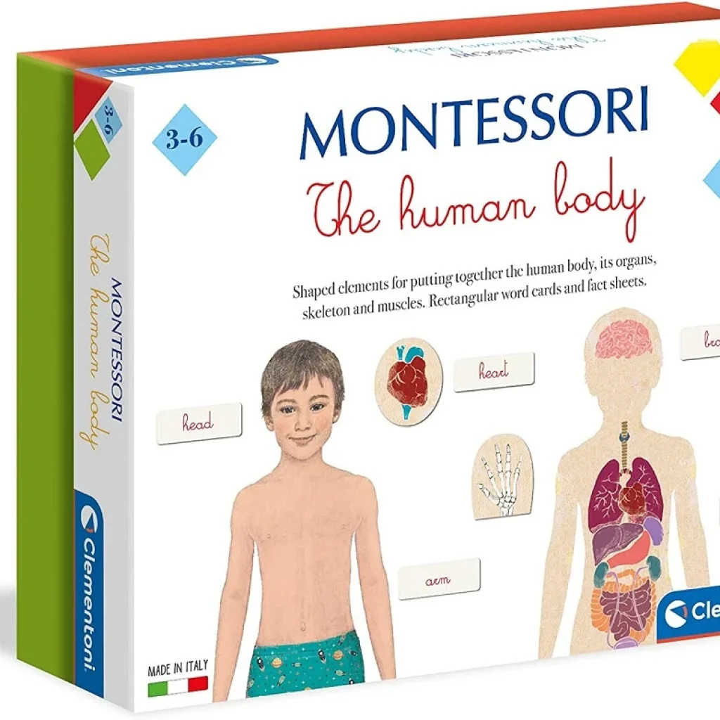 Clementoni Montessori - The Human Body