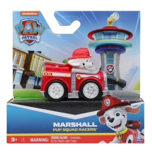 Paw Patrol Pup Squad Racers Mini Vcle (Style Vary)