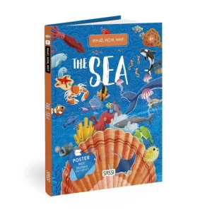 Q&A - Sea