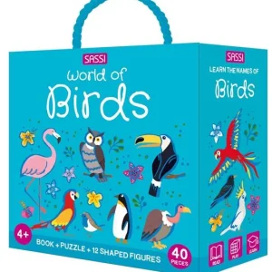Q-Box - Birds