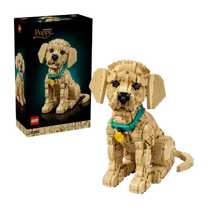 LEGO 11384 Icons Puppy Golden Retriever