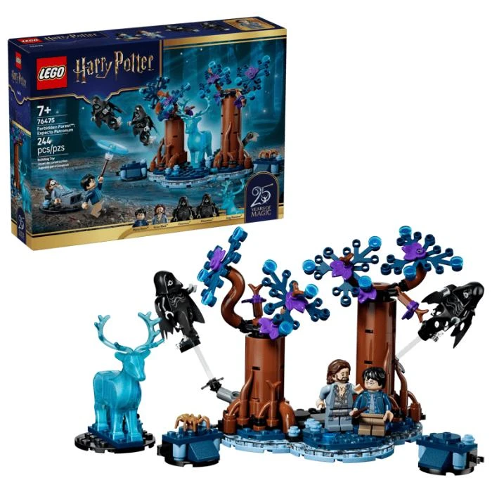 LEGO 76475 Harry Potter Expecto