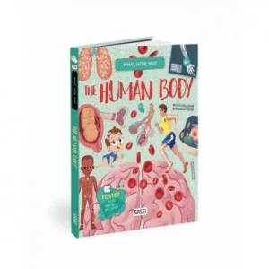 Q&A - Human Body