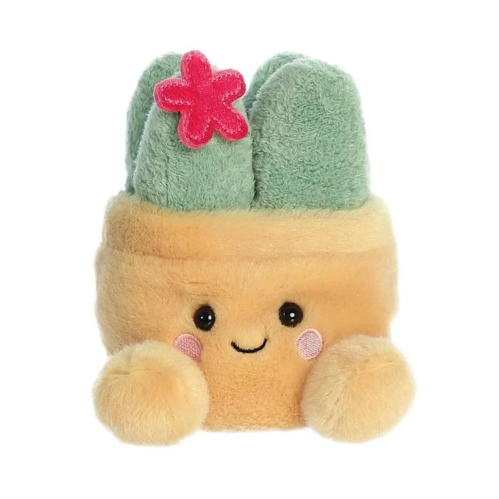 Palm Pals -Cactus 10Cm