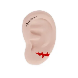 Hw Eraser Scented Ear Moq 32
