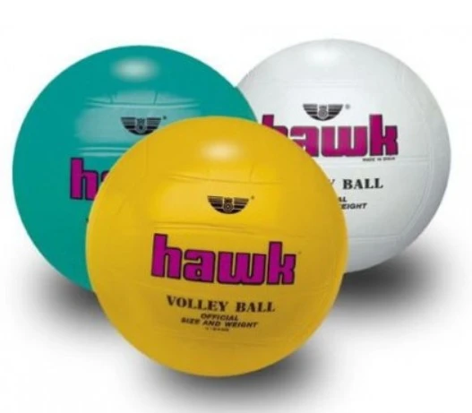 BALL VOLLEY HAWK